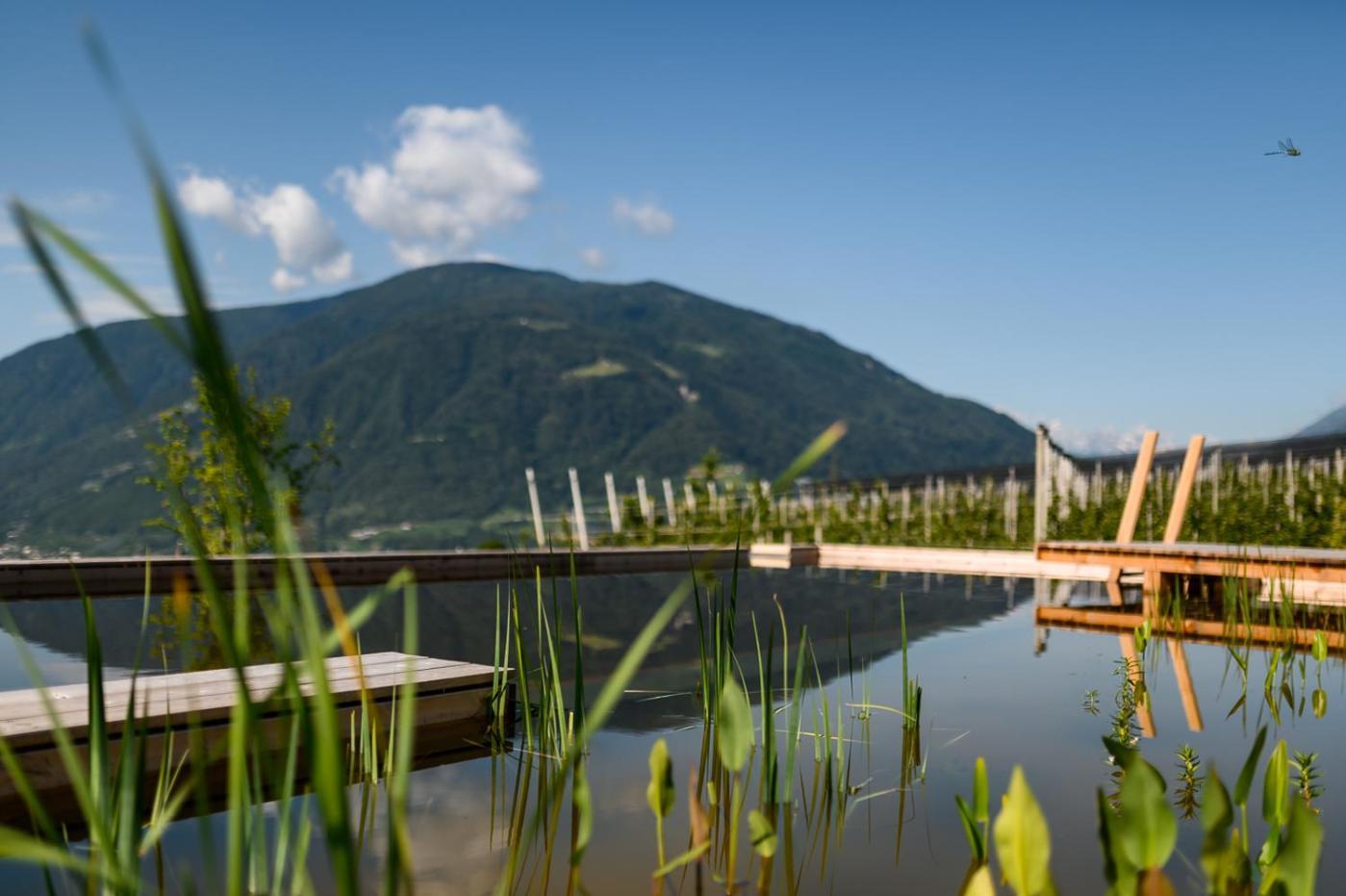 Pataunerhof Tirol المظهر الخارجي الصورة